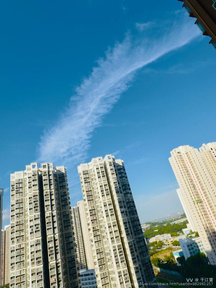 千江雪