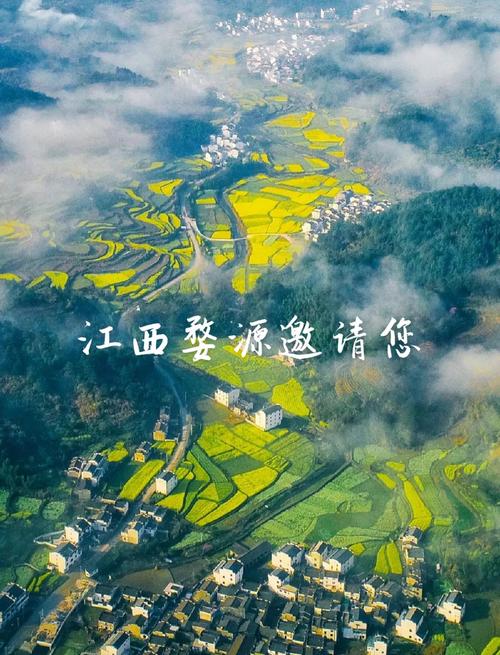 婺源长溪村村长戴向阳