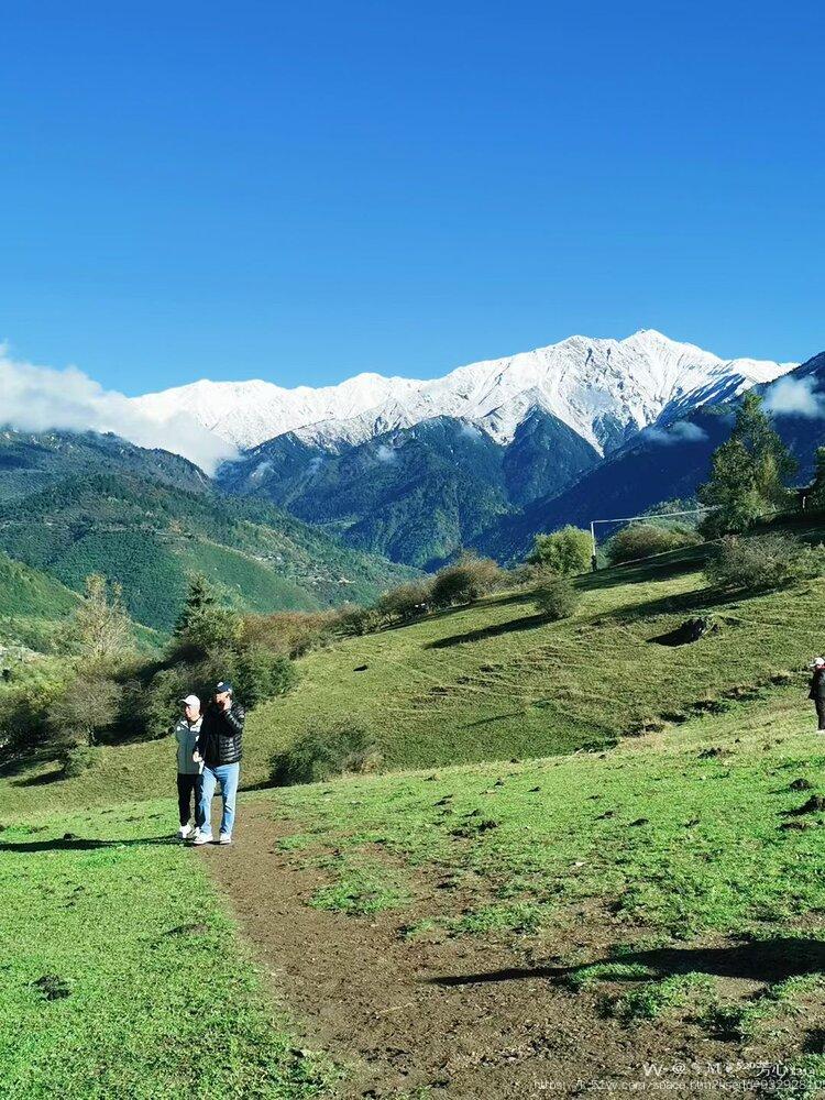 ✎ℳ❦̯⁵²⁰芳心₁₃₁₄̯