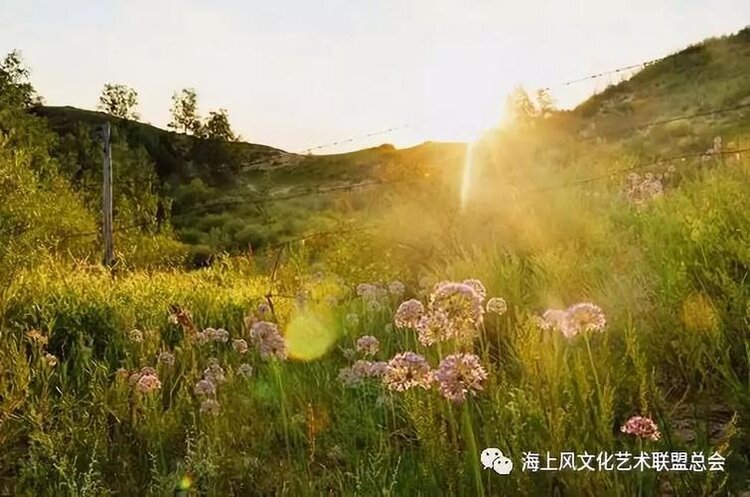 轻松【朗诵专区】