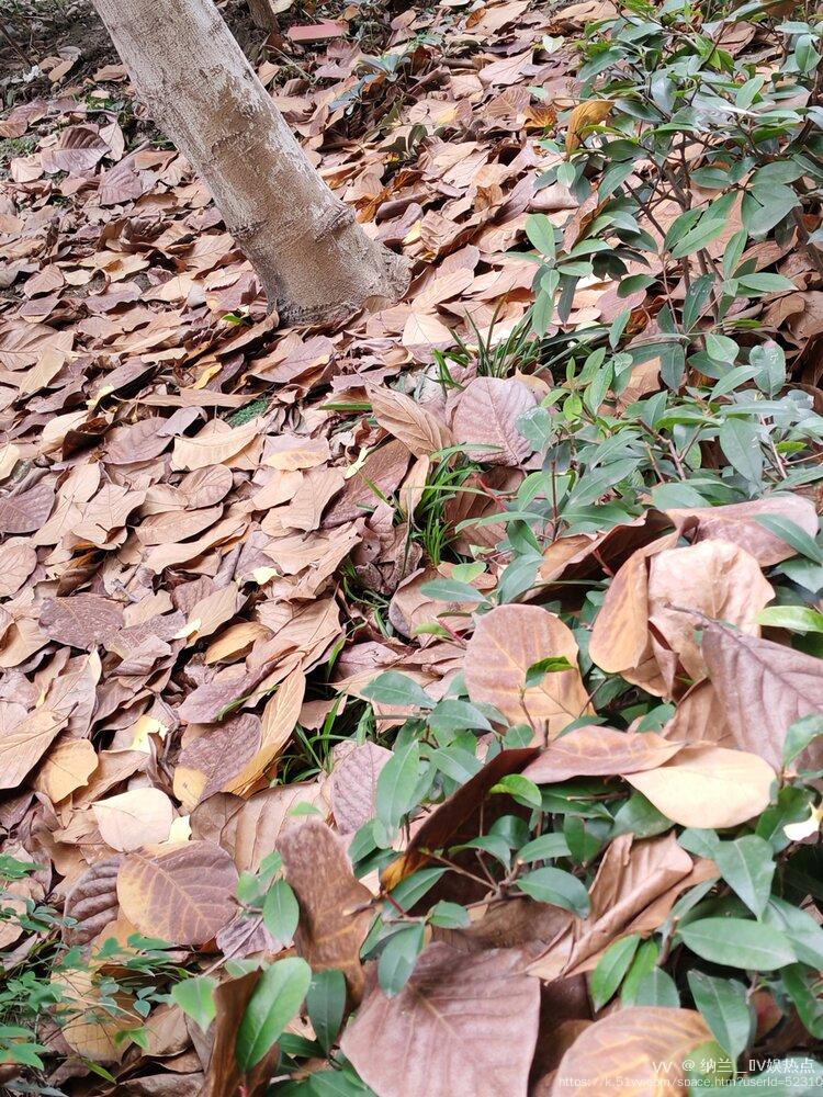 纳兰＿🎤V娱热点