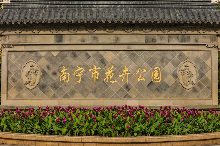 王静波