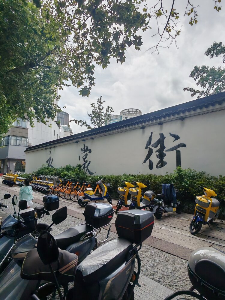 荆涂桃李