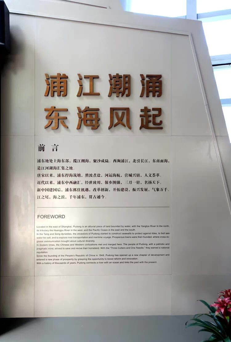 牛牛【美摄视界】