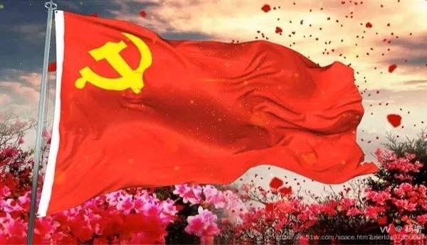 杨培