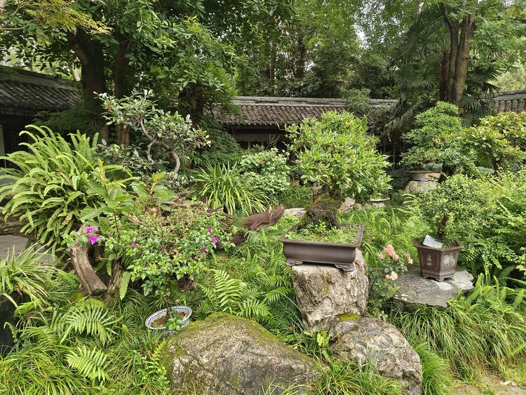 雪儿🎤V娱热点