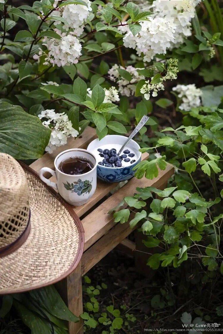 ℒℴѵℯ亮亮ꦿ໊ོ °