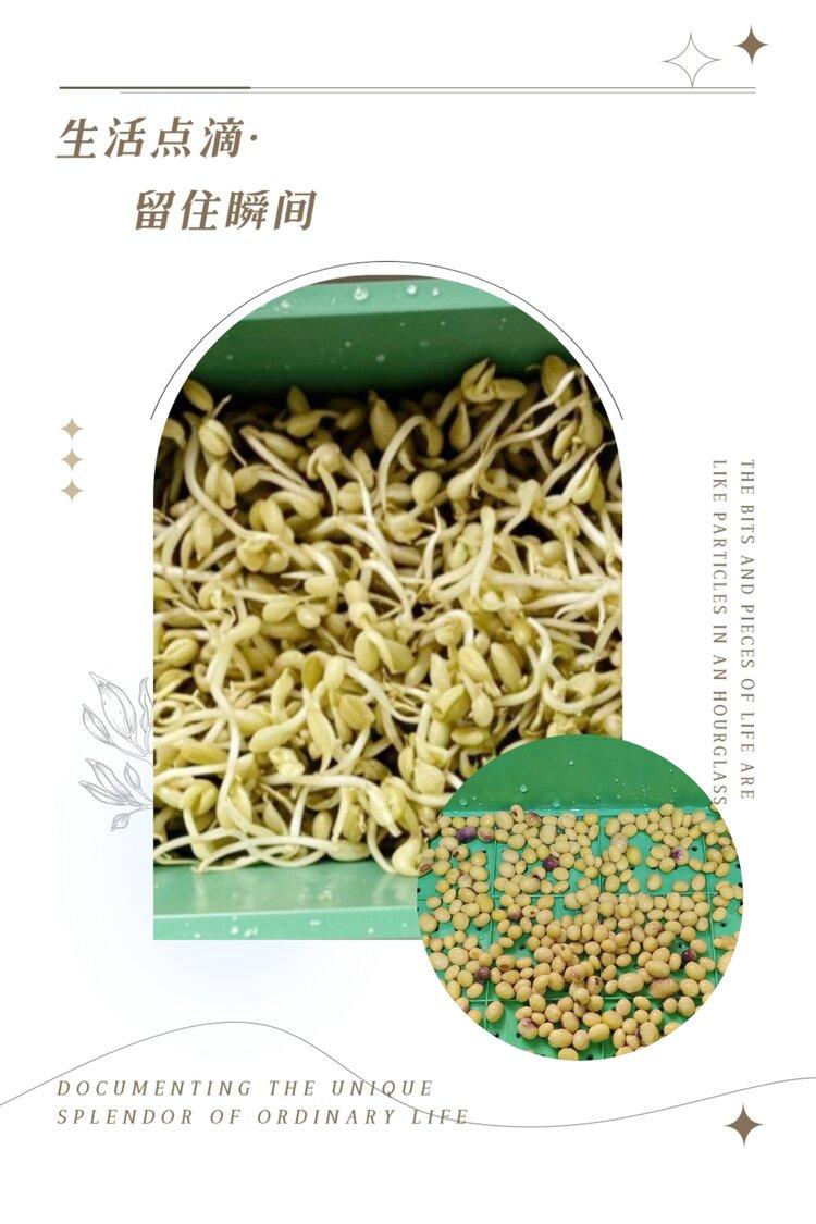 纳兰＿🎤V娱热点