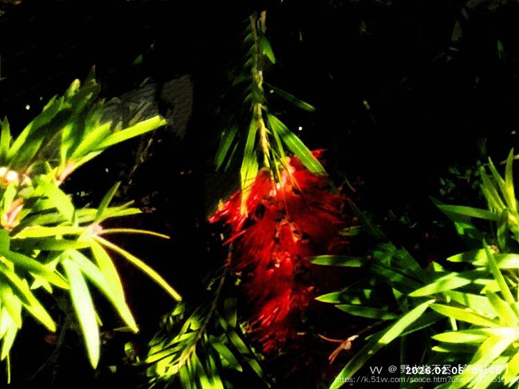 野火烧不尽【美摄视界】