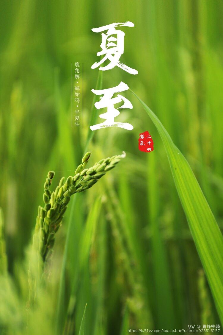 萧锋中醫
