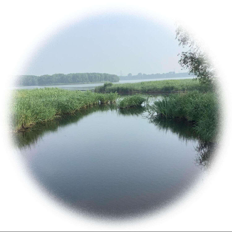 青士李振汉
