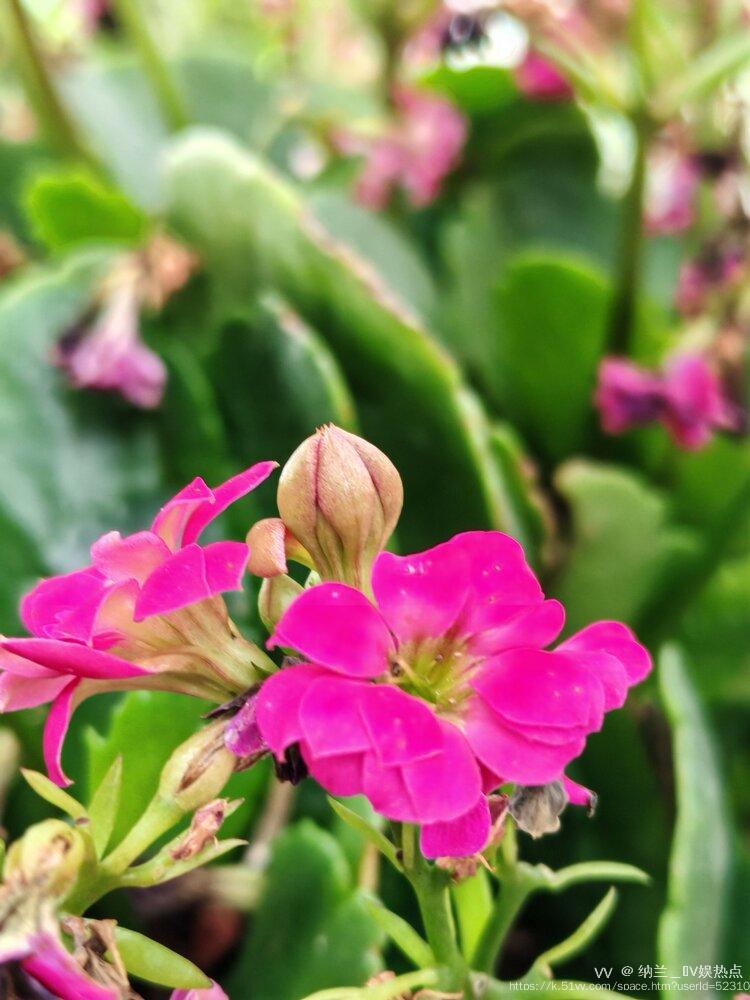 纳兰＿🎤V娱热点