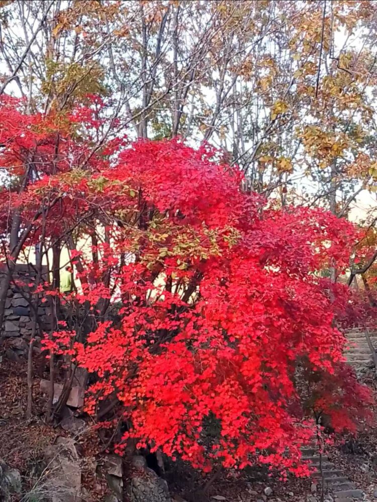 雪儿🎤V娱热点