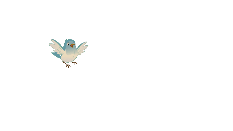 陈金茂
