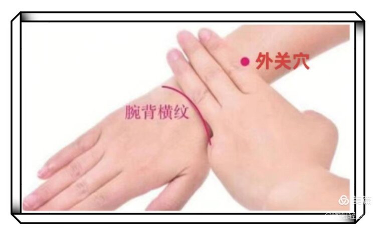 VⅤ深山老林