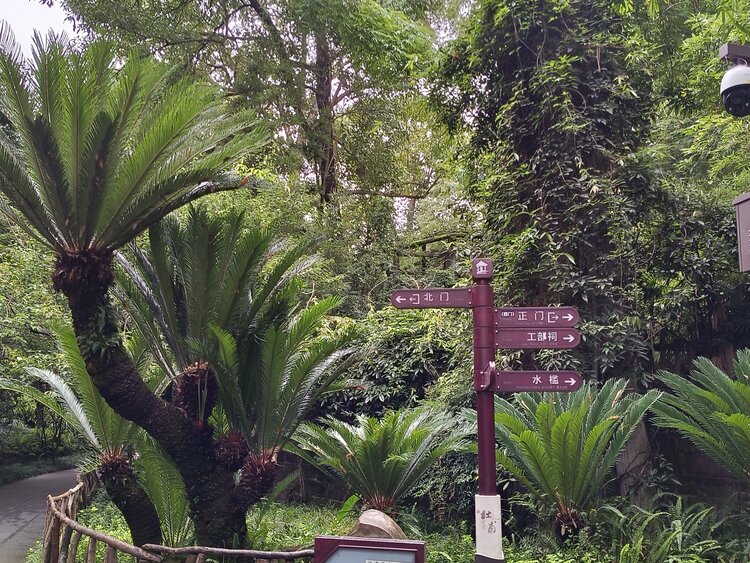 雪儿🎤V娱热点