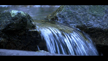 356_200gif 动态图 动图