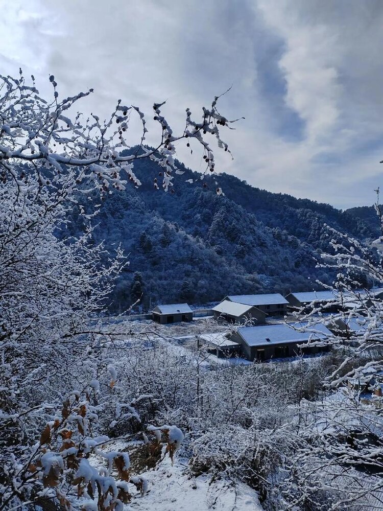 千山暮雪【西窗剪烛】