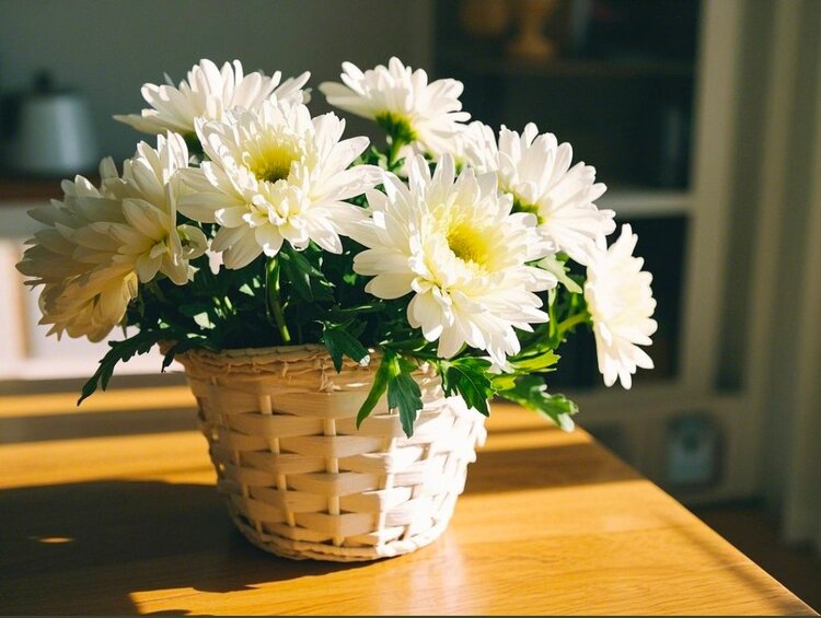 雪儿🎤V娱热点