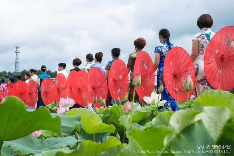 萧锋中醫