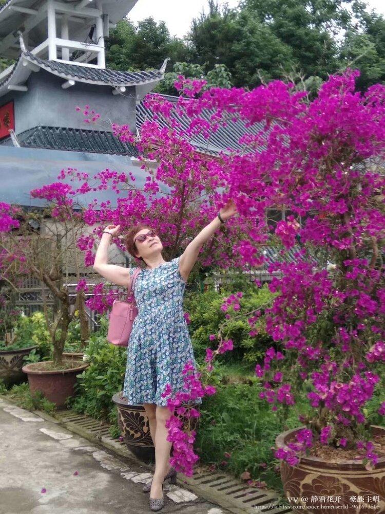 静看花开🍸豪族主唱