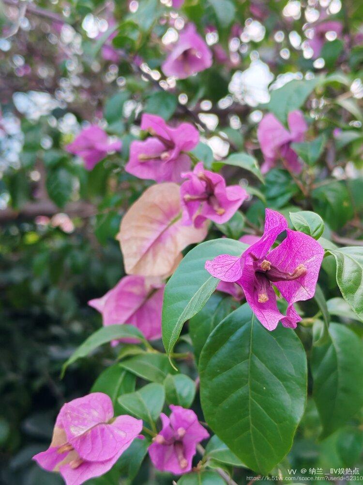 纳兰＿🎤V娱热点