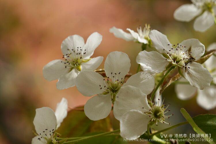 浩然亭【美摄视界】
