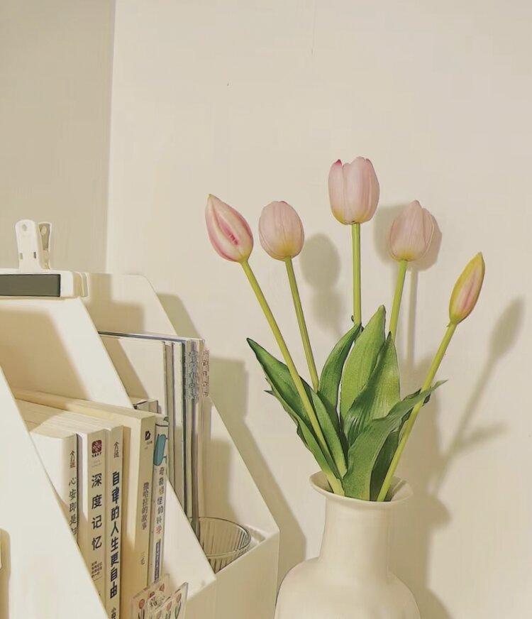 ꕥ公主梦游VV仙境❥ᵛⁱᵈᵉᵒ