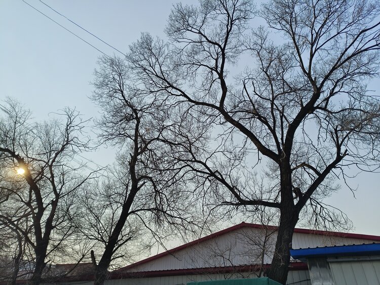 雪儿🎤V娱热点