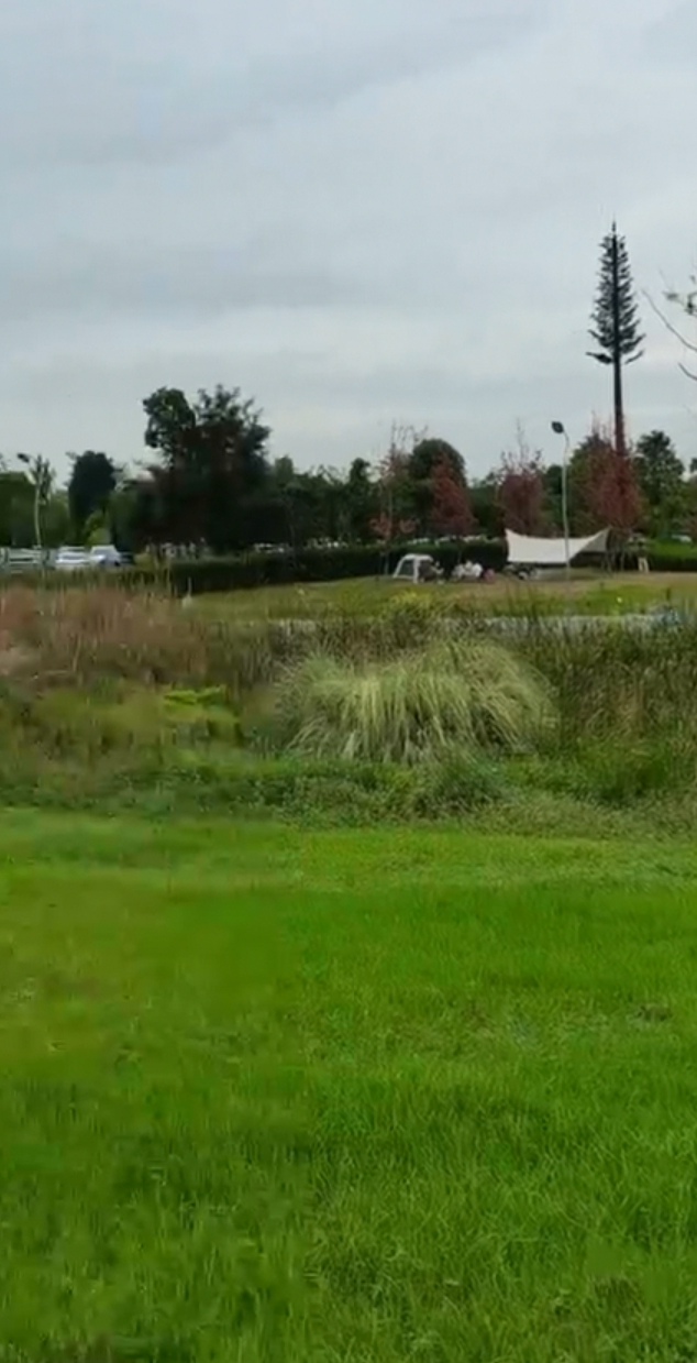 XST😊歌诵🍸豪族唱将