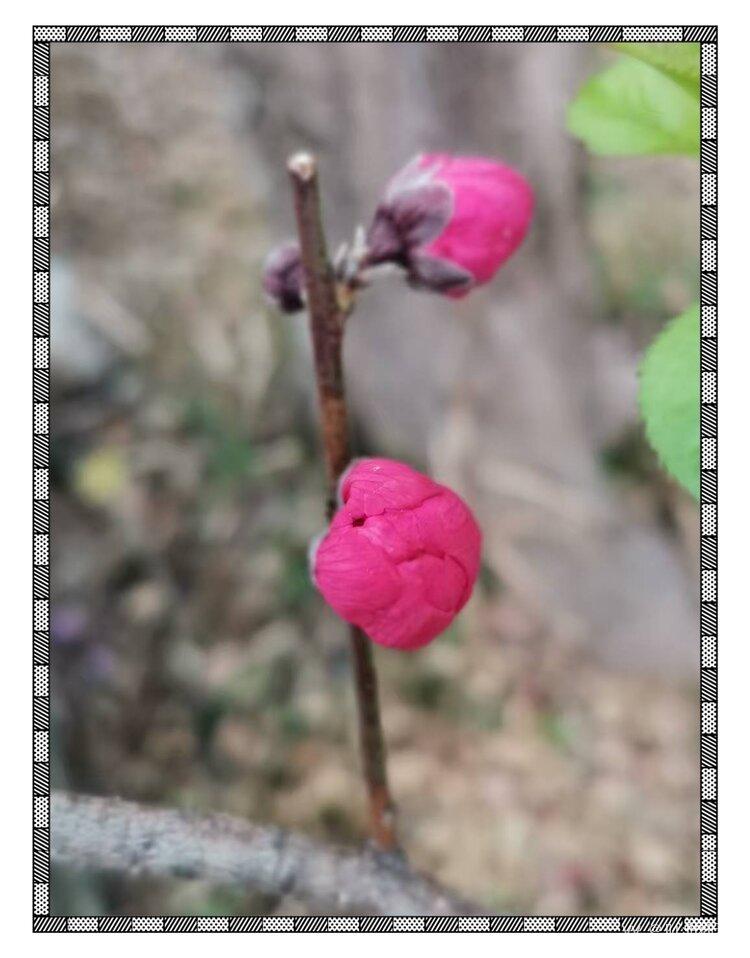 💞心✨援💞开心