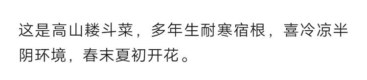秦声缘💫诚实