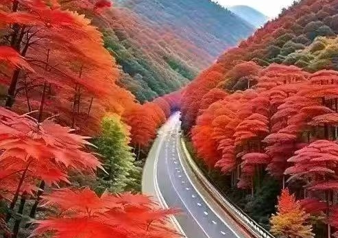 《华人文艺选刊》赵良田主编