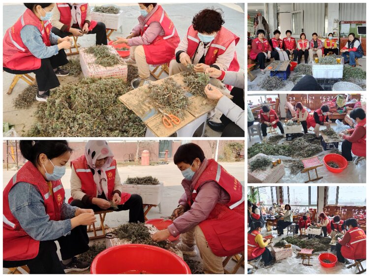 寿光市善德公益服务中心