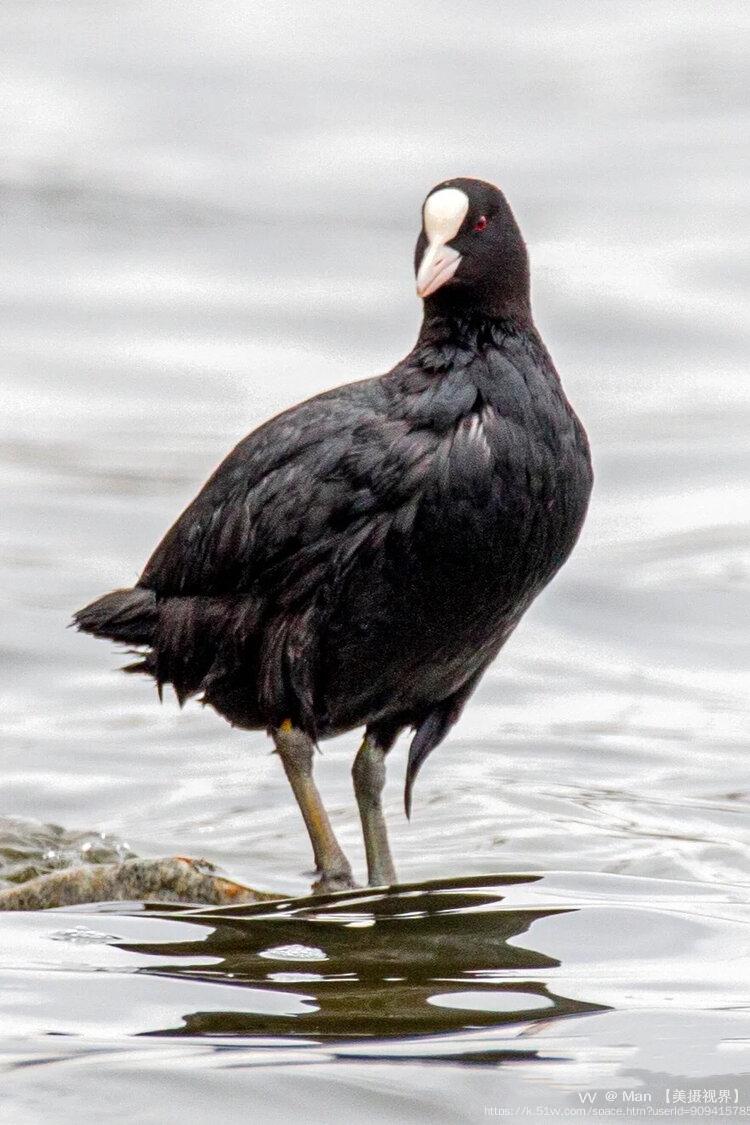 Man 【美摄视界】