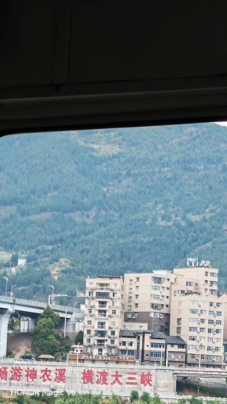 ꧁木槿꧂