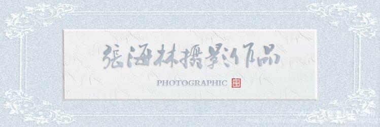 【张海林】-温州