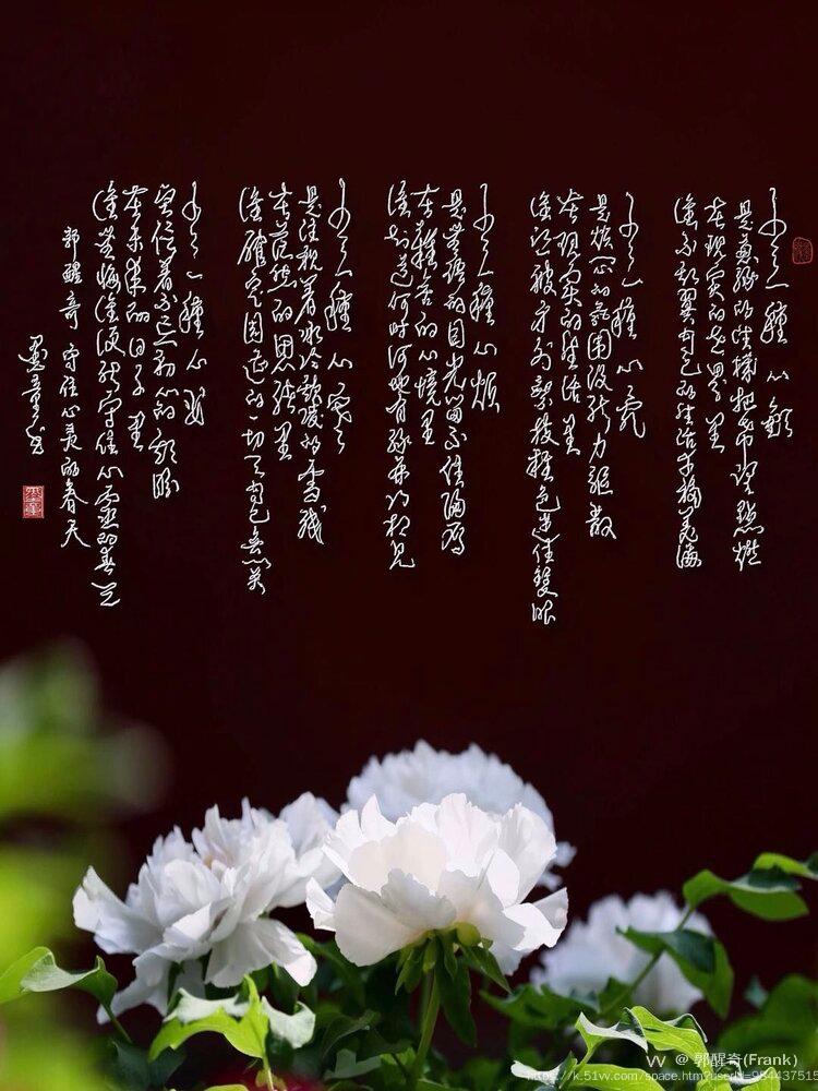 郭醒奇(Frank）