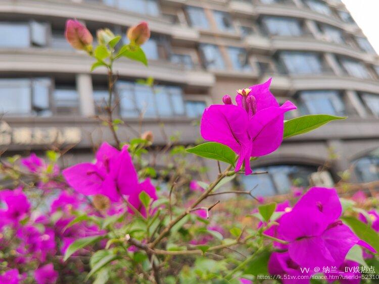 纳兰＿🎤V娱热点