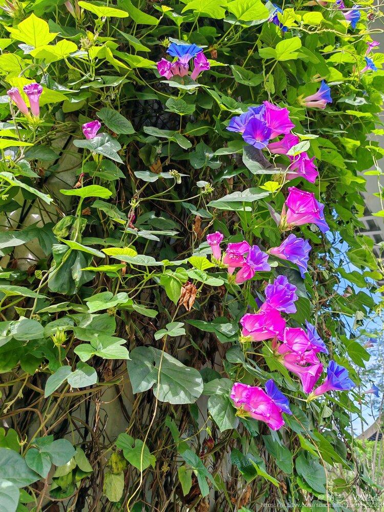 纳兰＿🎤V娱热点