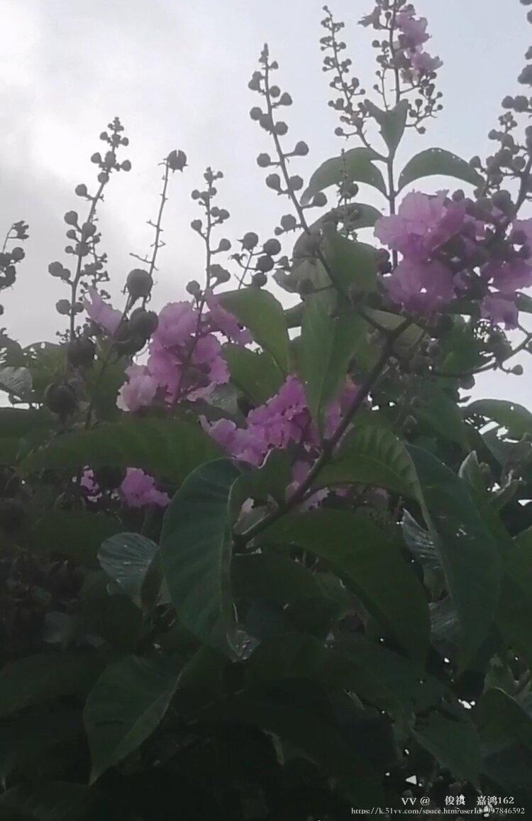 💫俊祺💫嘉鸿162💖