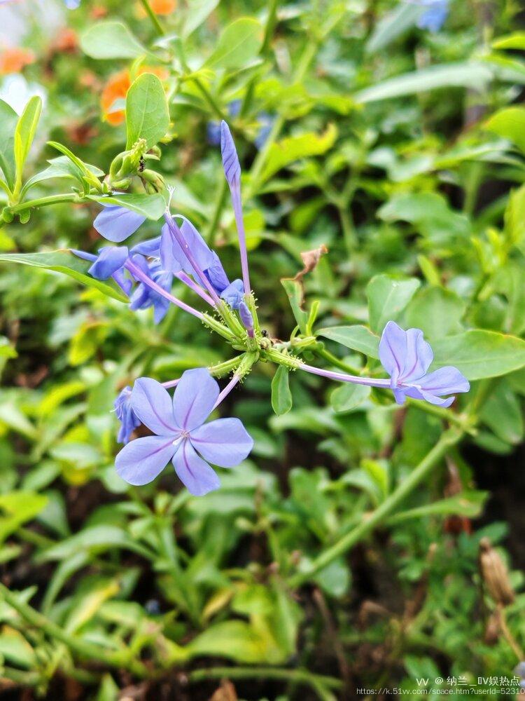 纳兰＿🎤V娱热点