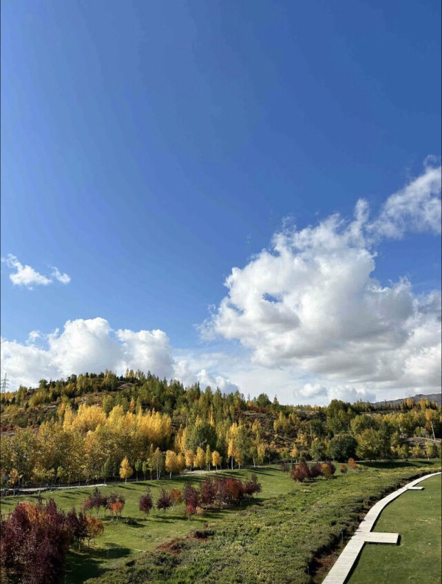 霸气💞一个叫木头吖