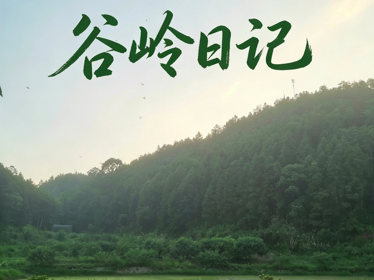 谷岭日记