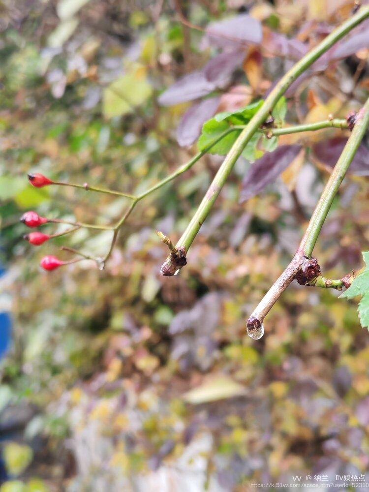 纳兰＿🎤V娱热点