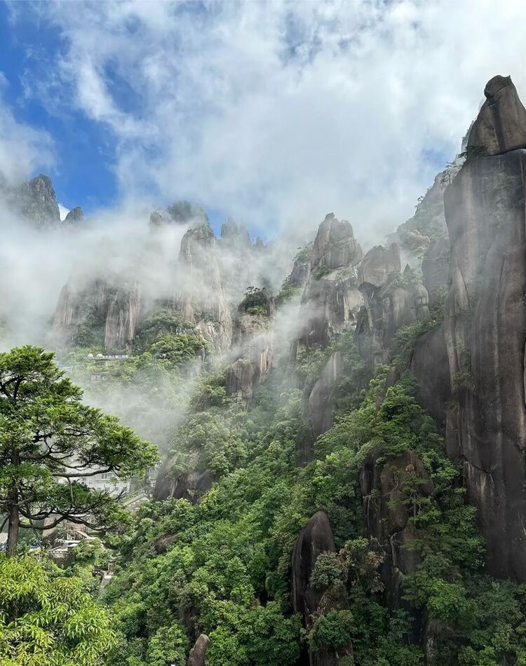 九州四川网文学社主编  杨万全