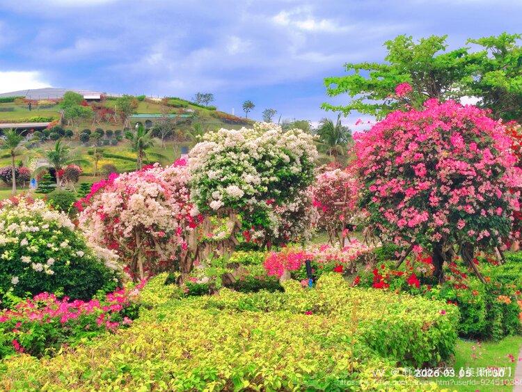 野火烧不尽【美摄视界】