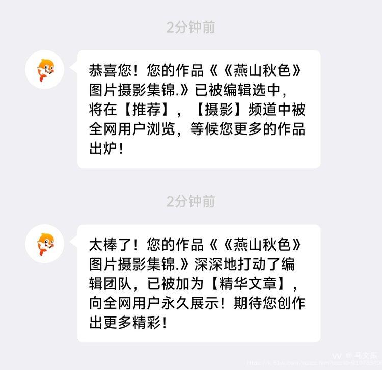 马文振