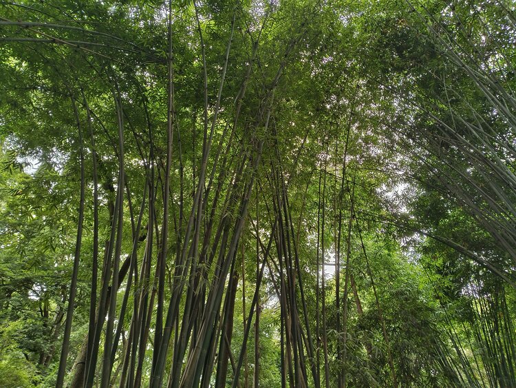 雪儿🎤V娱热点