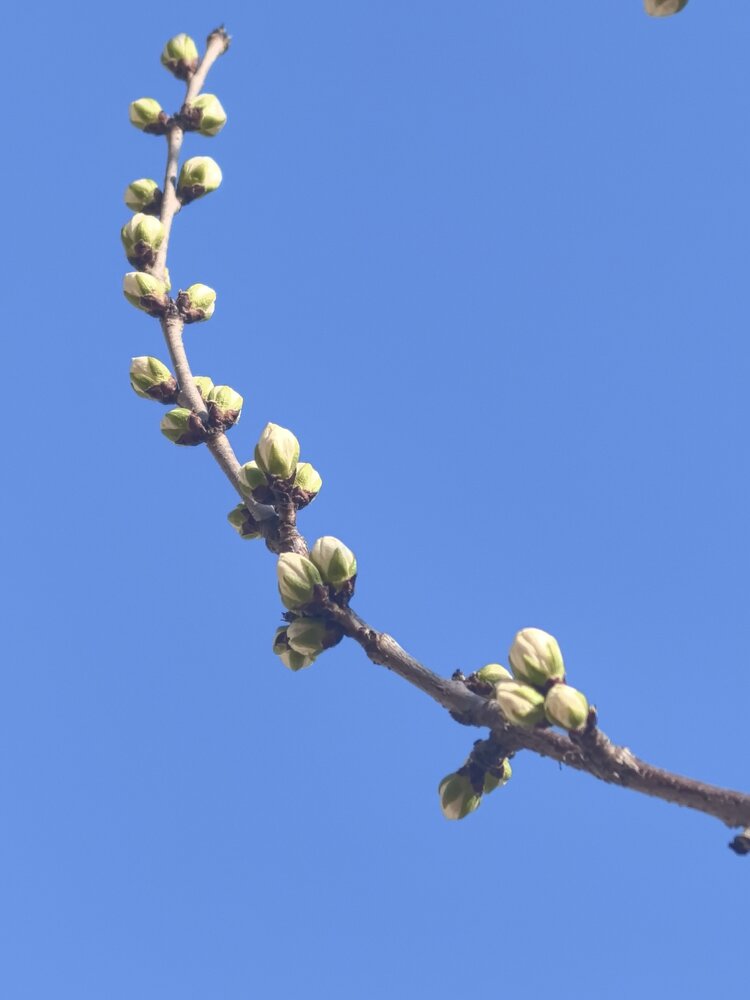 爱吾爱（雅韵文轩）